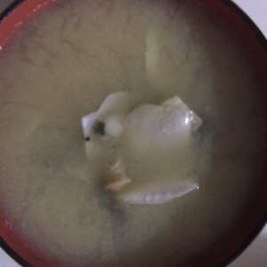 稚貝（ホタテの赤ちゃん）の味噌汁